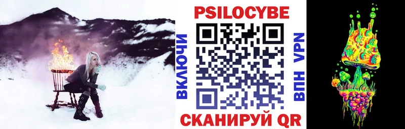 где купить наркотик  Костерёво  Псилоцибиновые грибы Magic Shrooms 